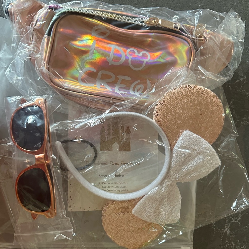 Disney “I Do Crew” set